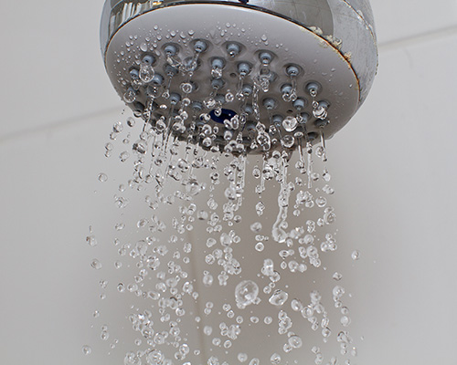 Shower head watering Laundry and Bathroom Renovations in Melbourne By VECS AUST PTY. LTD
